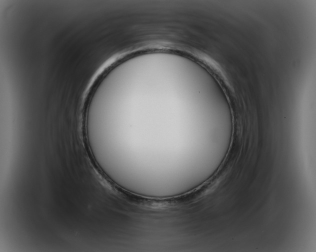 X0000083011326200703021931