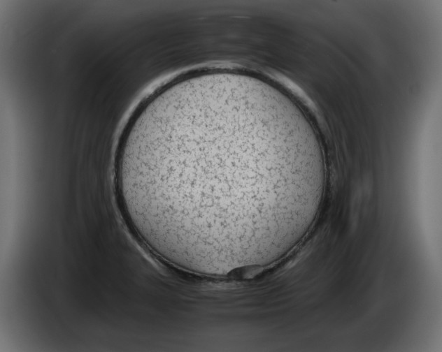 X0000083011327200703021931