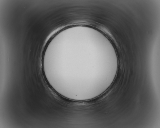 X0000083011328200703021931