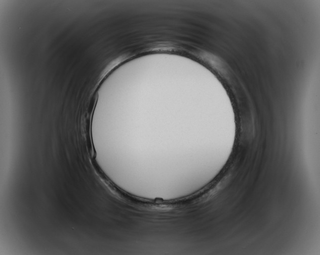 X0000083011329200703021931