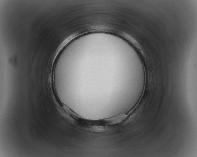 X0000083011330200703021931