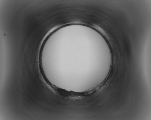 X0000083011331200703021931