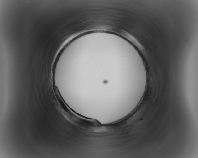 X0000083011332200703021931