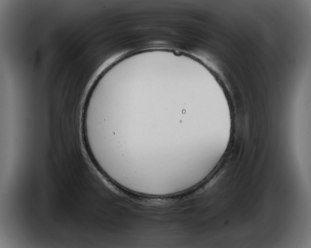 X0000083011333200703021931