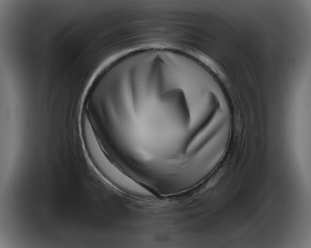 X0000083011334200703021931