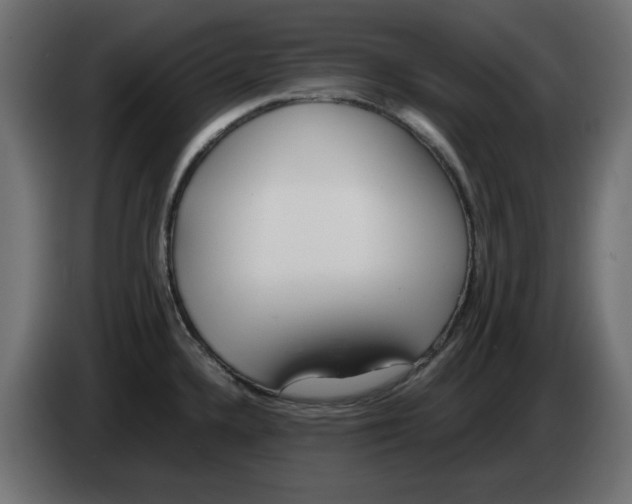 X0000083011336200703021931