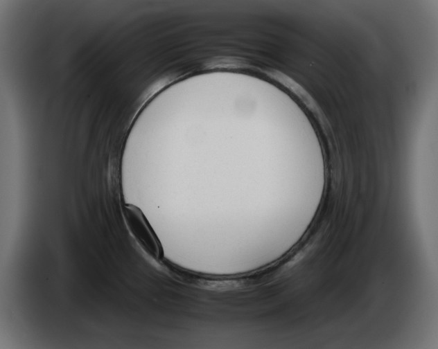 X0000083011337200703021931