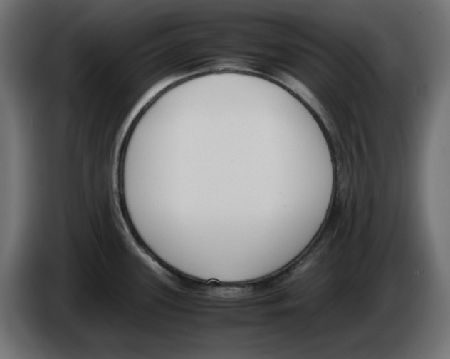 X0000083011339200703021931