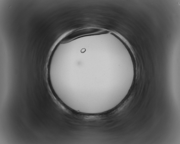 X0000083011341200703021931