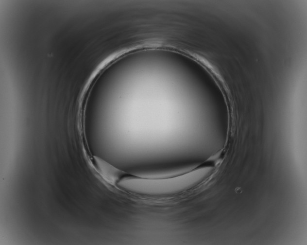 X0000083011342200703021931