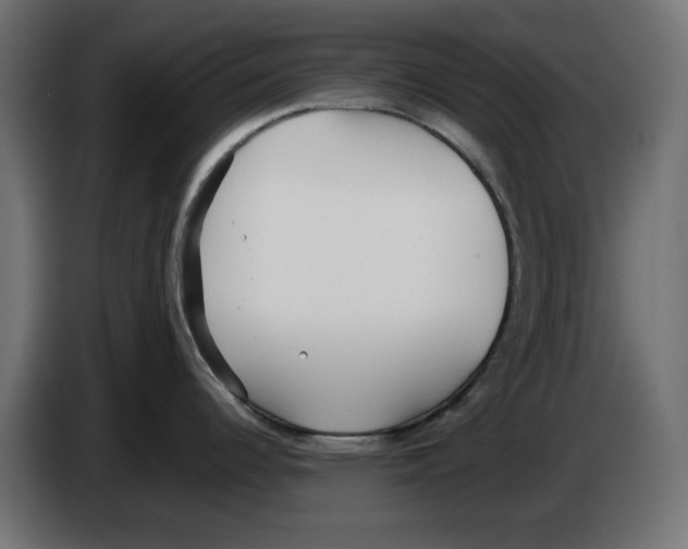 X0000083011344200703021931