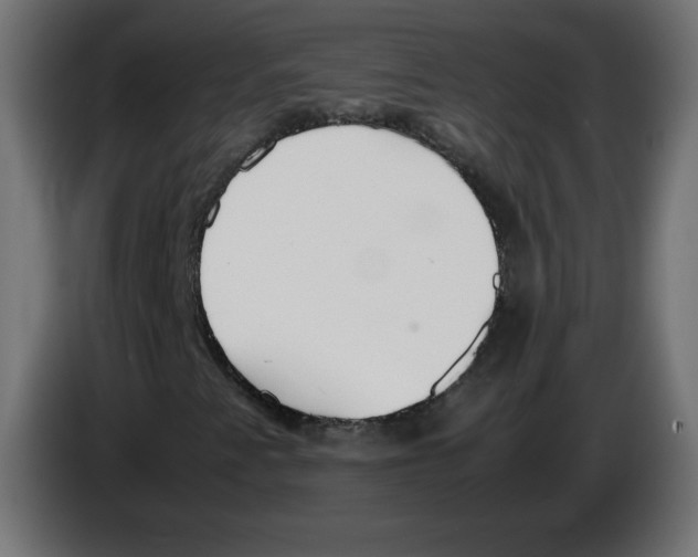 X0000083011345200703021930