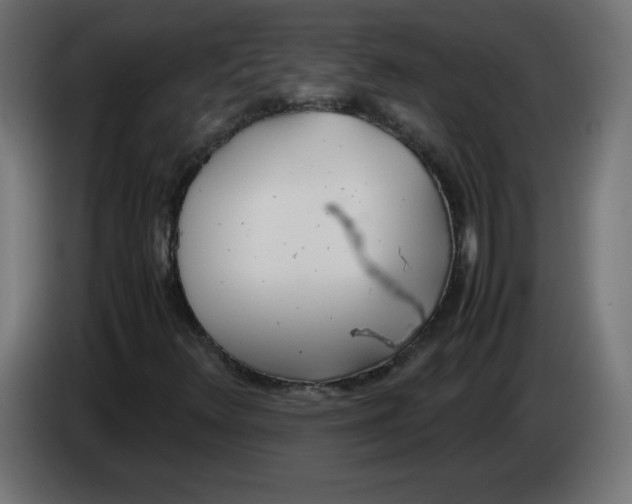 X0000083011348200703021930