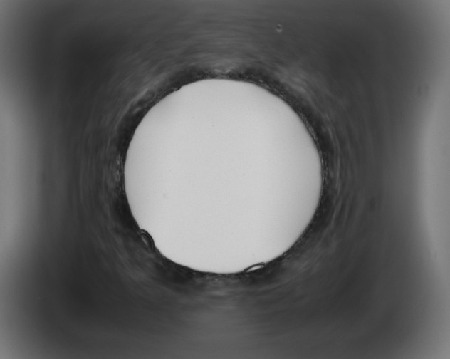 X0000083011349200703021930