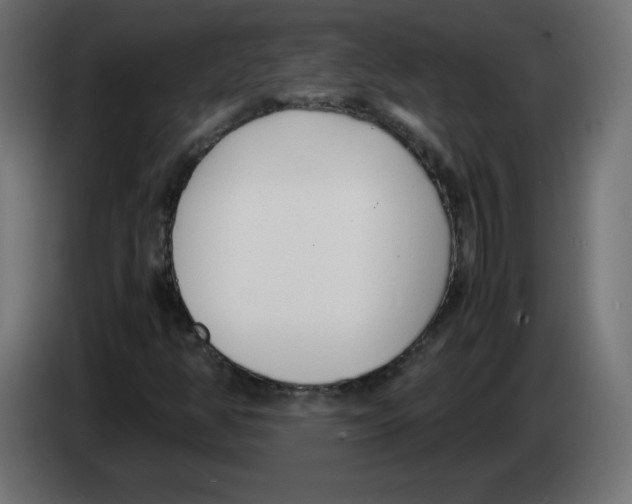 X0000083011350200703021930