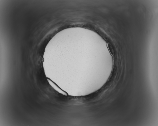 X0000083011351200703021930