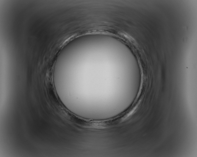 X0000083011353200703021930