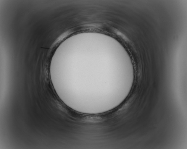 X0000083011354200703021930