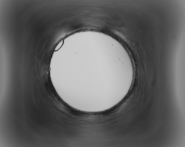 X0000083011355200703021930