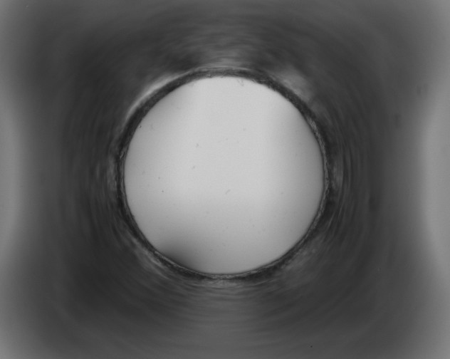 X0000083011356200703021930