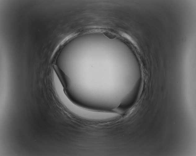 X0000083011357200703021930