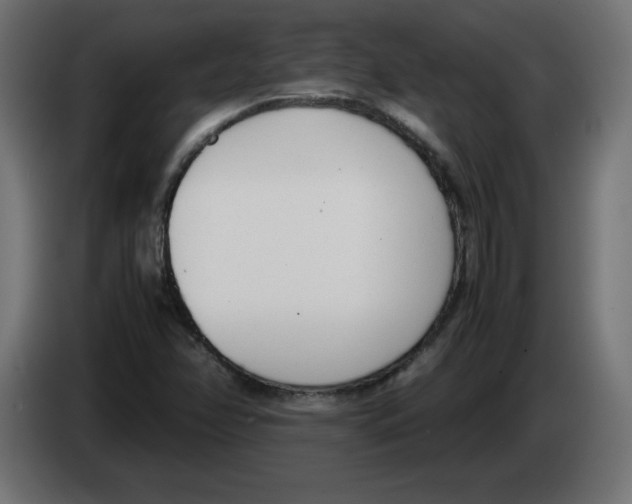 X0000083011358200703021930