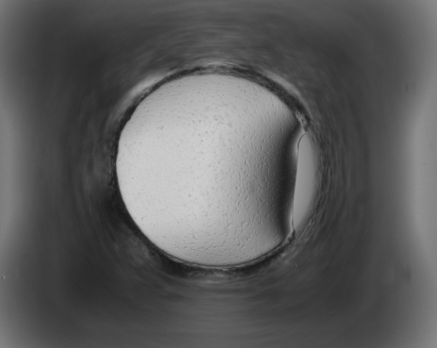 X0000083011359200703021930