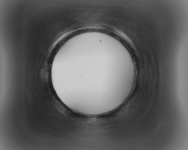 X0000083011360200703021930