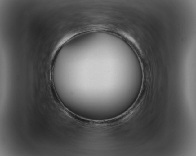 X0000083011365200703021930