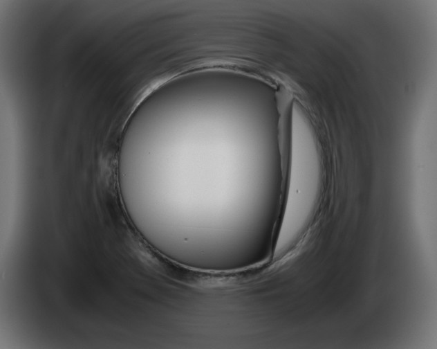 X0000083011369200703021930