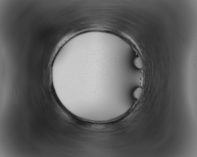 X0000083011371200703021929