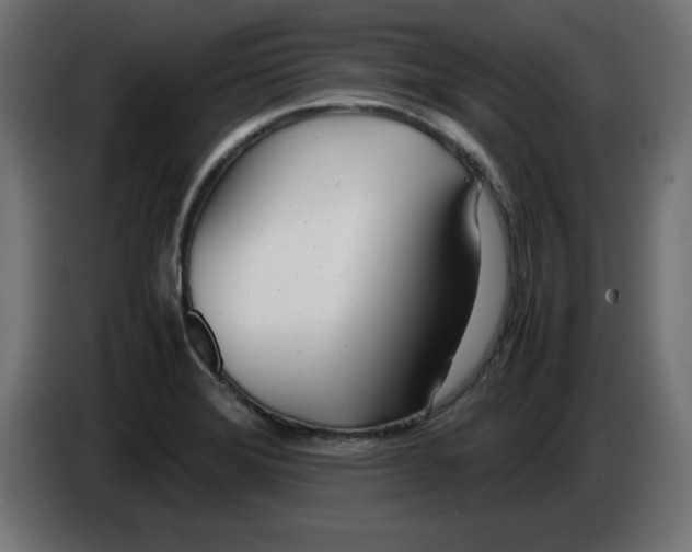 X0000083011372200703021929