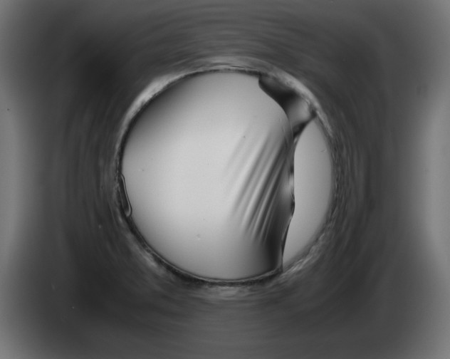 X0000083011373200703021929