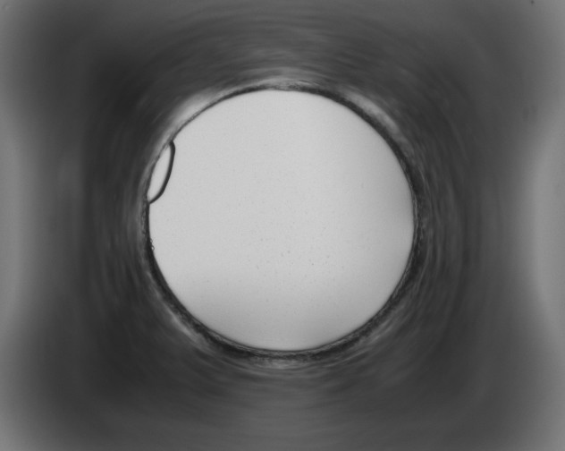 X0000083011375200703021929