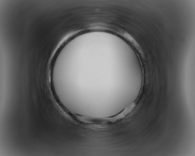 X0000083011376200703021929