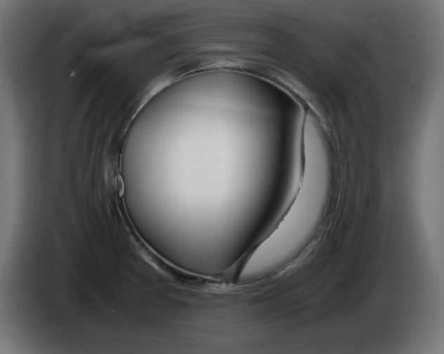 X0000083011377200703021929