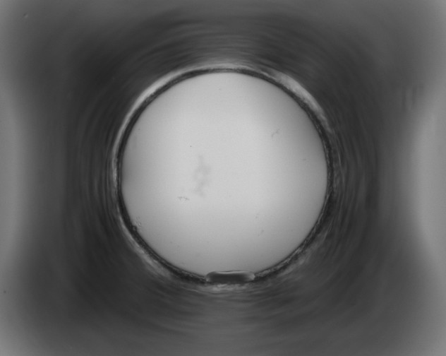 X0000083011380200703021929