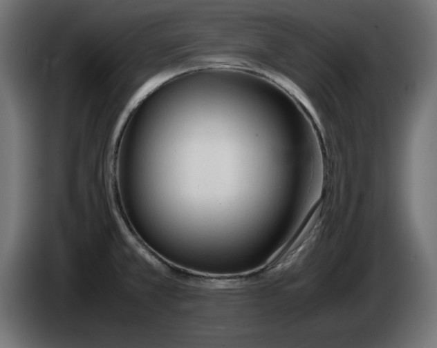 X0000083011381200703021929