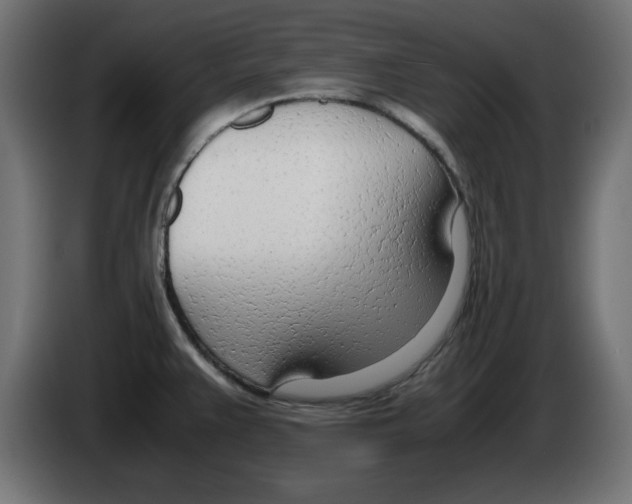 X0000083011383200703021929