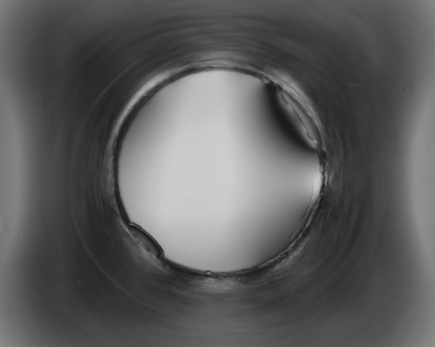 X0000083011384200703021929