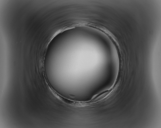 X0000083011385200703021929