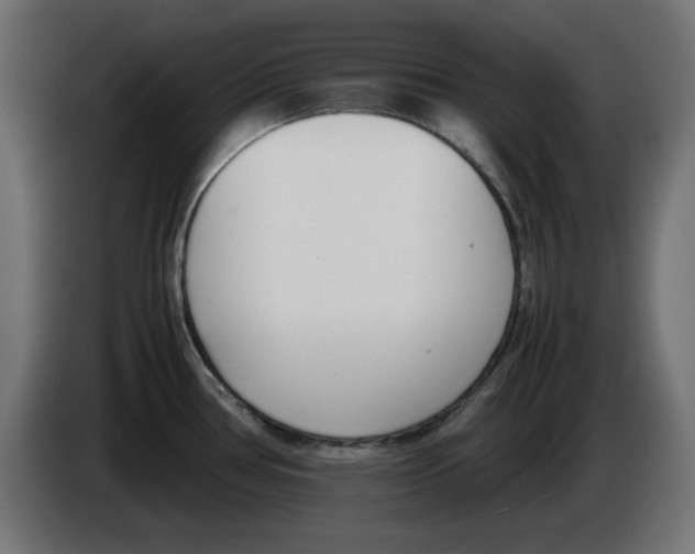 X0000083011386200703021929