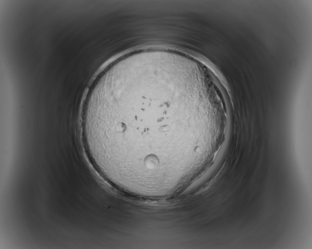 X0000083011388200703021929