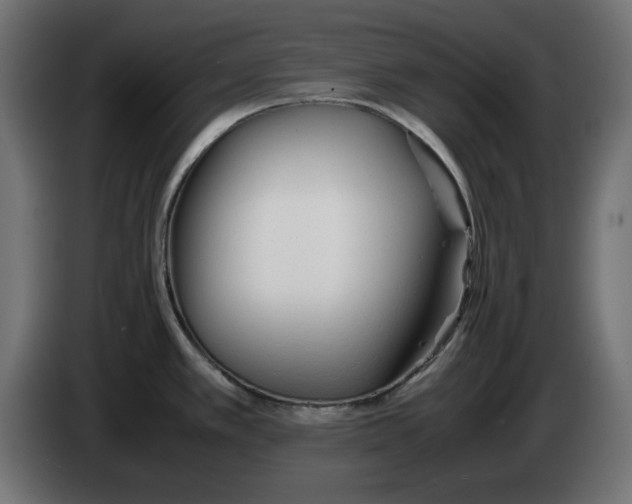 X0000083011389200703021929