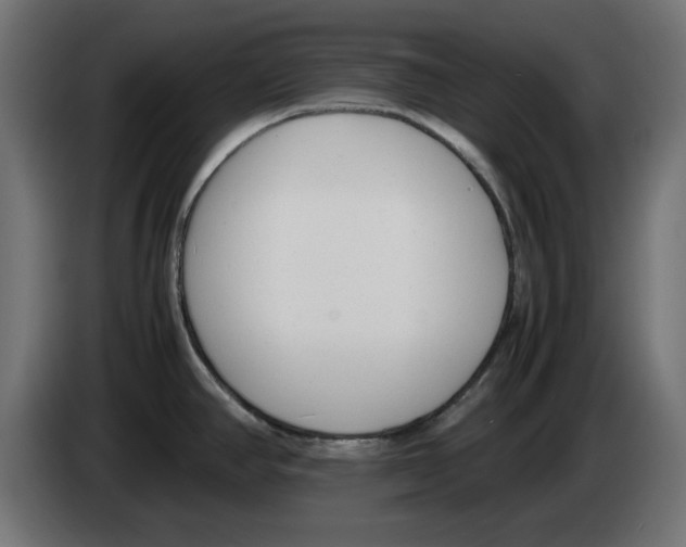 X0000083011390200703021929