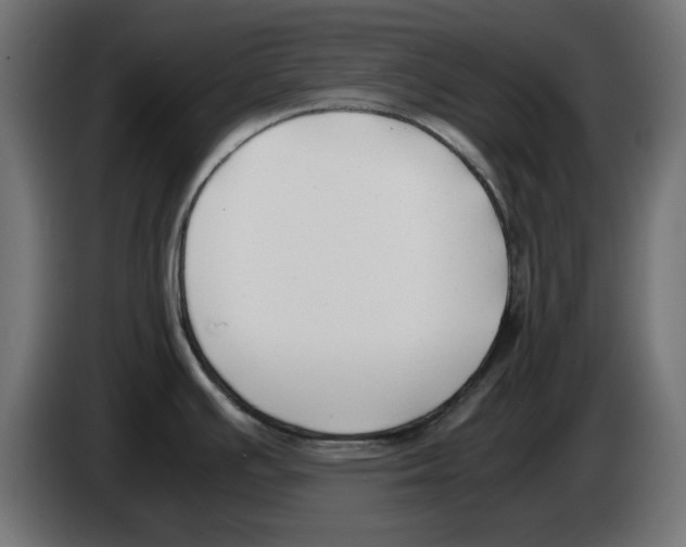 X0000083011391200703021929