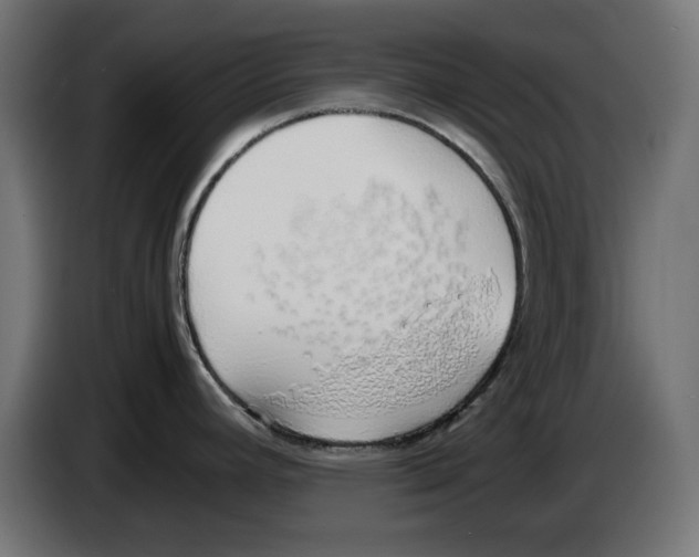 X0000083011392200703021929