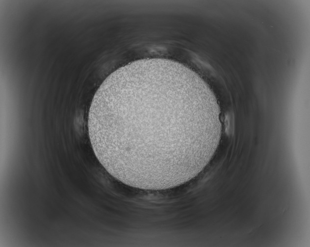 X0000083011395200703021928