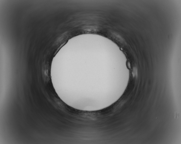 X0000083011396200703021928