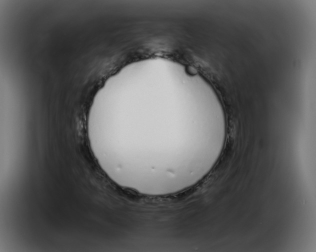 X0000083011397200703021928